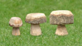 Wooden toadstools of various sizes Wooden toadstools of various sizes